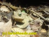 /home//u458753944/public_html/sourcegallery////McKaig Nature Center/2024-09-23/P9231594.JPG
